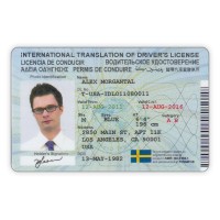 ITDL CARD SILVER STYLE